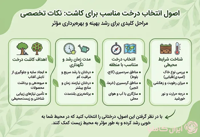 اصول انتخاب درخت مناسب برای کاشت نهال